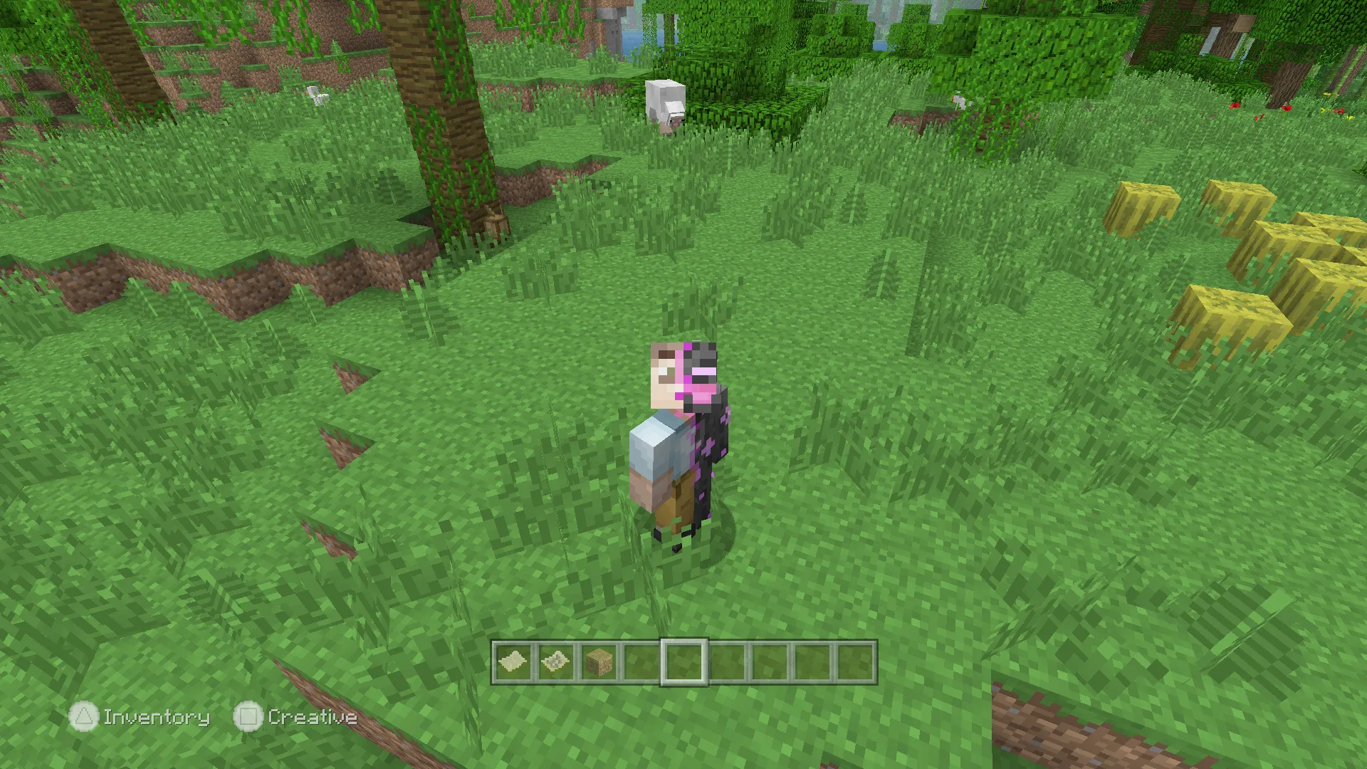 Legacy Skin Packs — скриншот 4 (Текстуры, Minecraft)