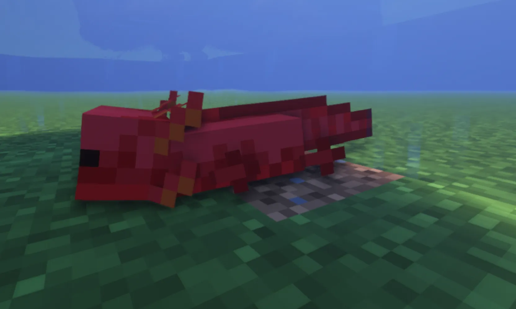 Red Axolotl — скриншот 1 (Текстуры, Minecraft)