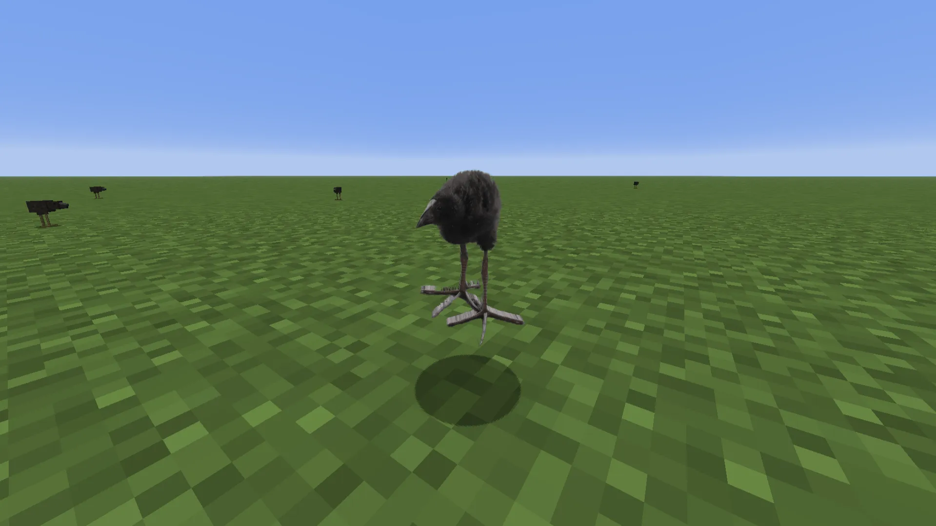 Pukeko (Damn) Bird — скриншот 2 (Моды, Minecraft)