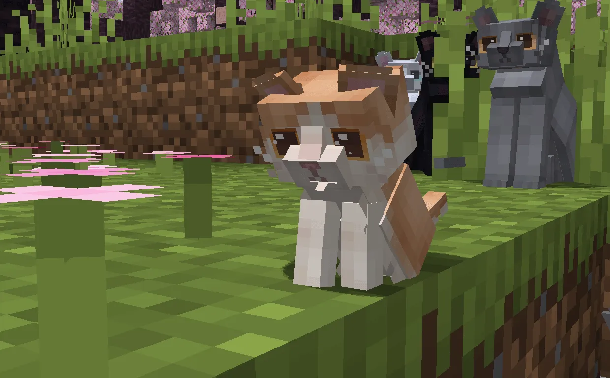 Refined Cats, Текстуры, Minecraft