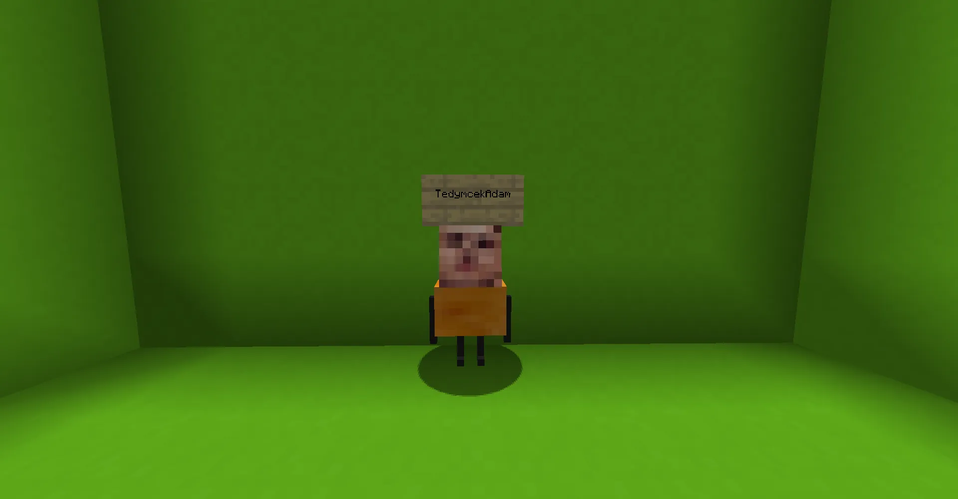 TedymcekAdam(FORGE), Моды, Minecraft