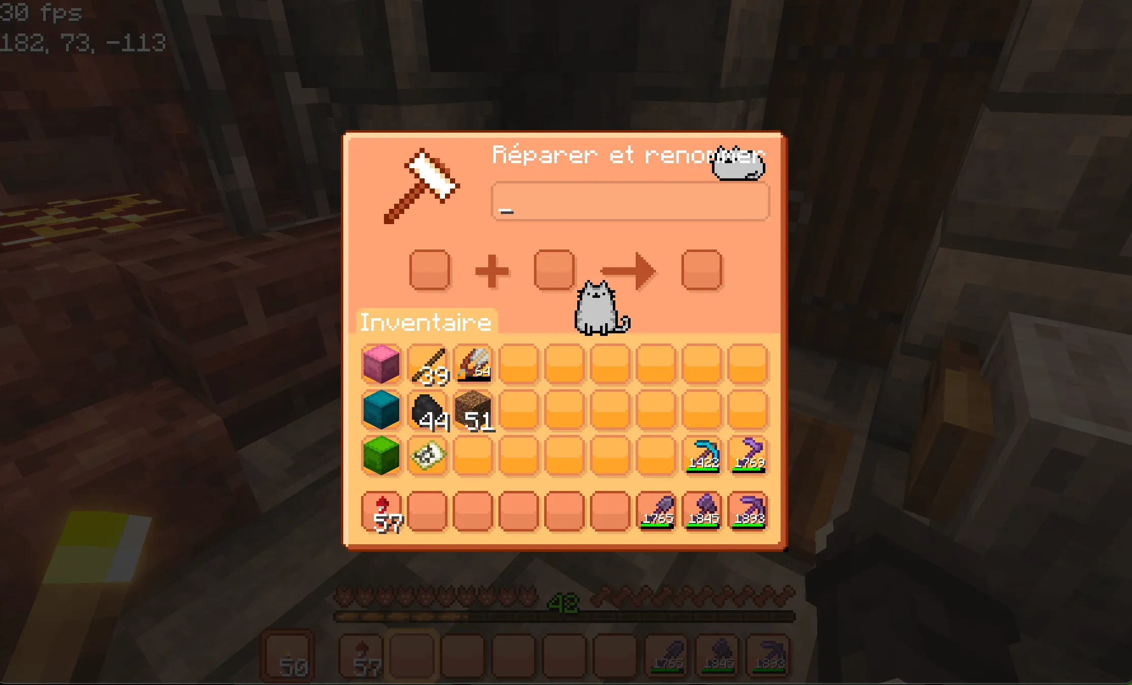 Pusheen GUI, Текстуры, Minecraft