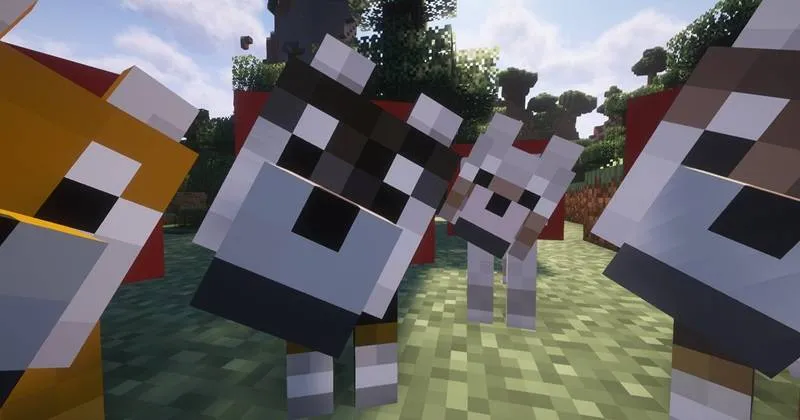 Shiba-dog, Текстуры, Minecraft