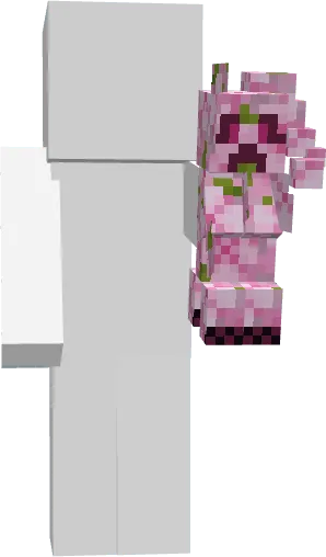 Cherry Creeper, Текстуры, Minecraft