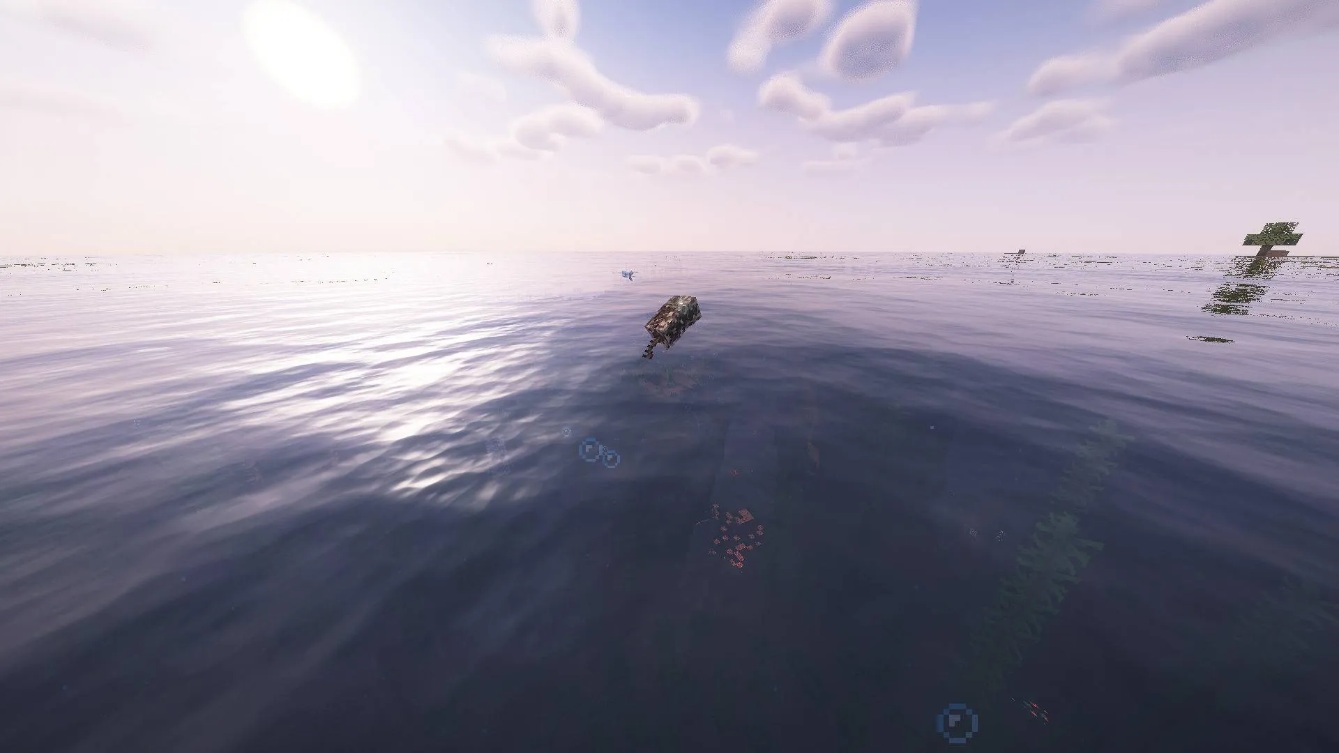 Piranha Attack, Моды, Minecraft