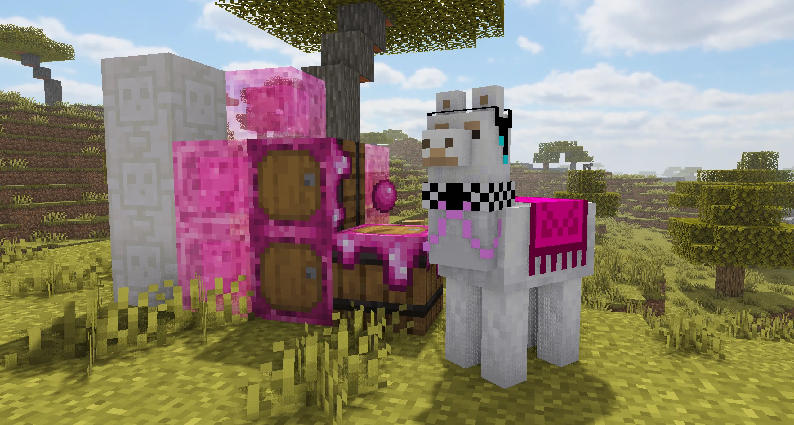 Colonal Kingdom SMP RP, Текстуры, Minecraft