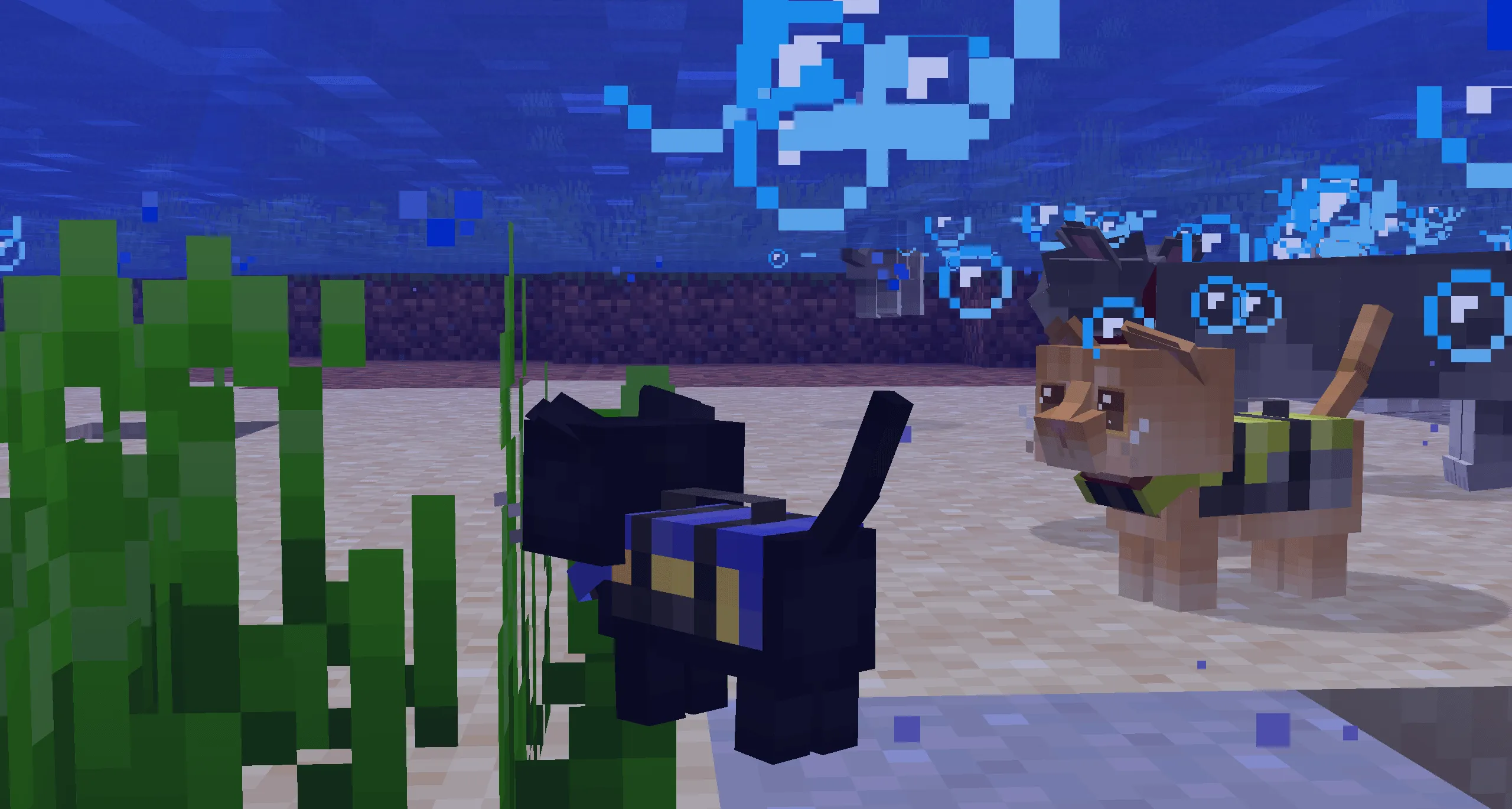 Refined Cats, Текстуры, Minecraft