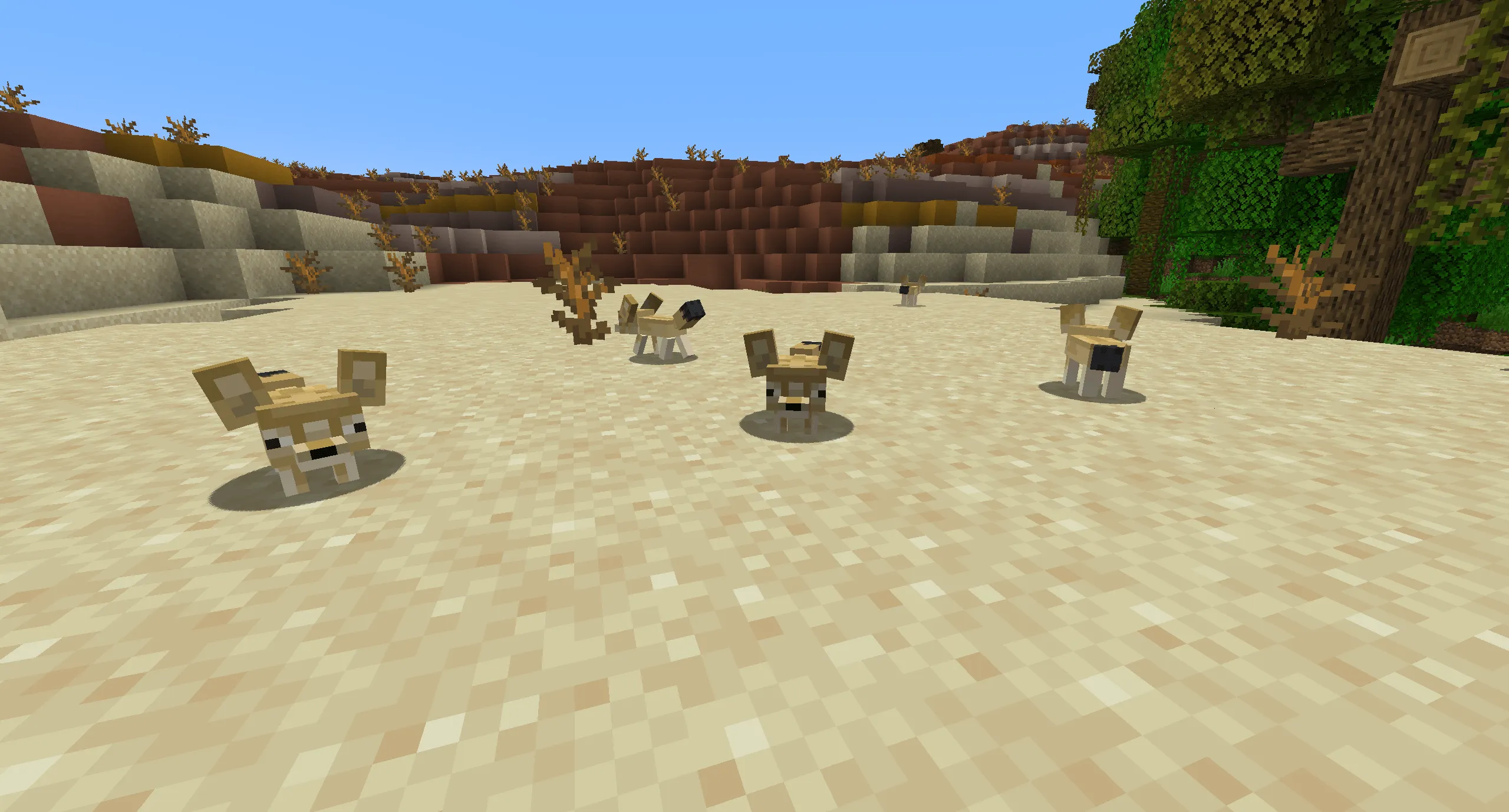 Jollier Journeys, Моды, Minecraft