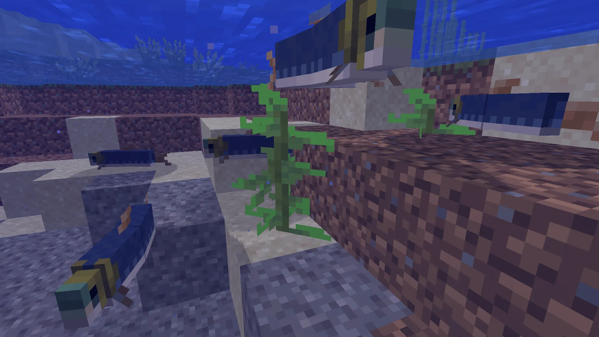 Kelp Eater — скриншот 2 (Моды, Minecraft)