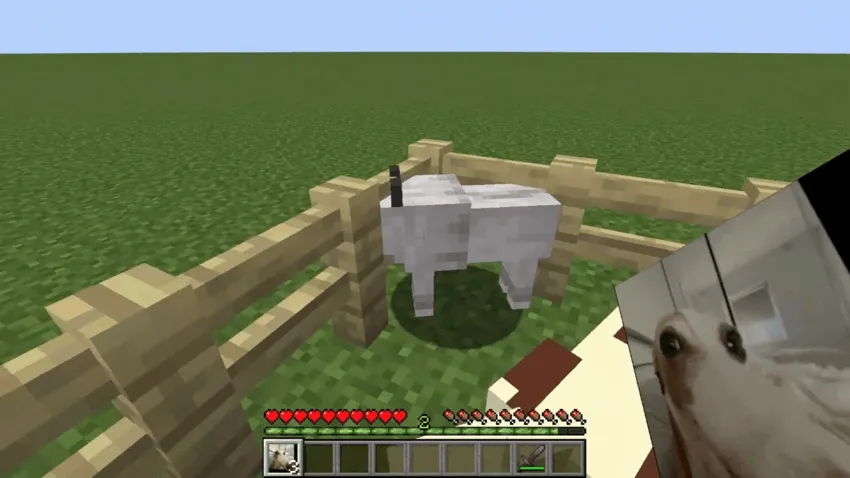 Piesek BA — скриншот 5 (Моды, Minecraft)
