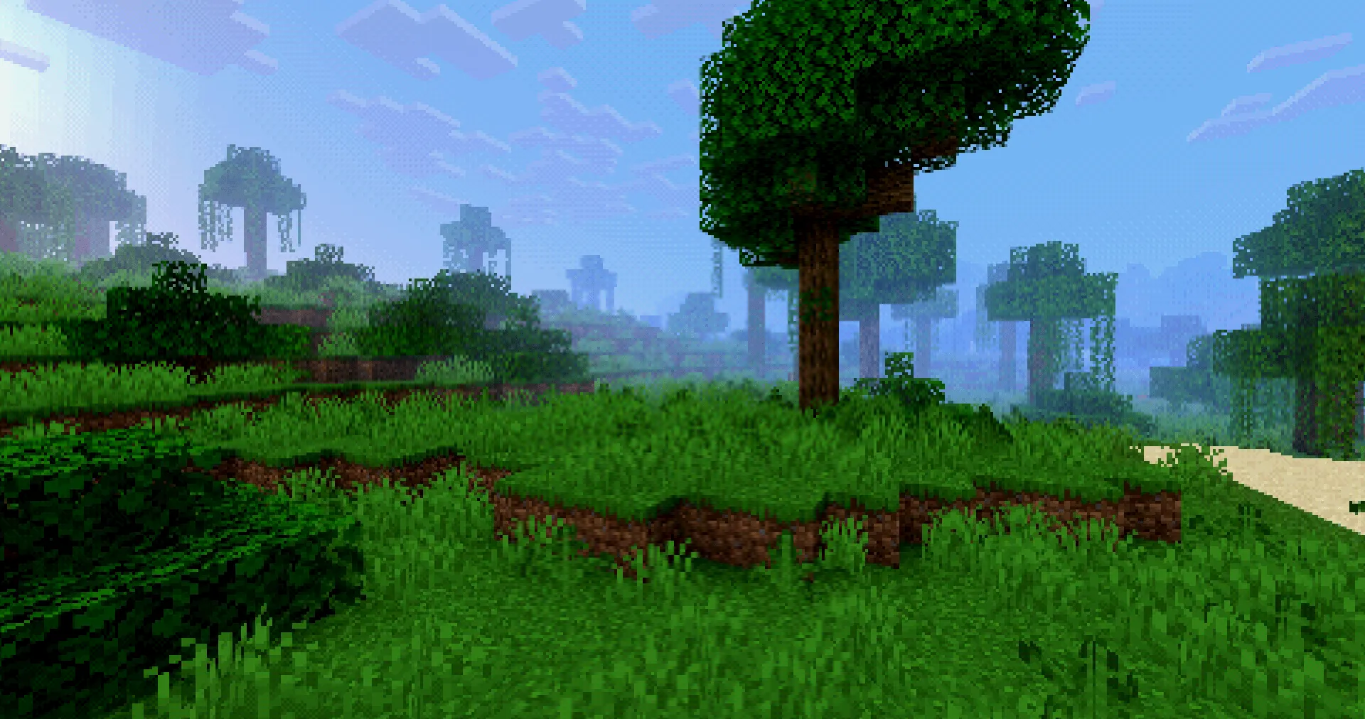 PSX Shader NB, Шейдеры, Minecraft