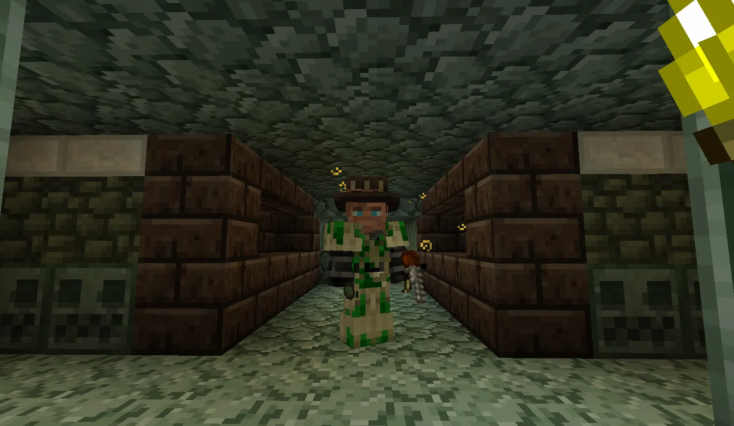 Bewitched Private Server Modpack — скриншот 4 (Модпаки, Minecraft)