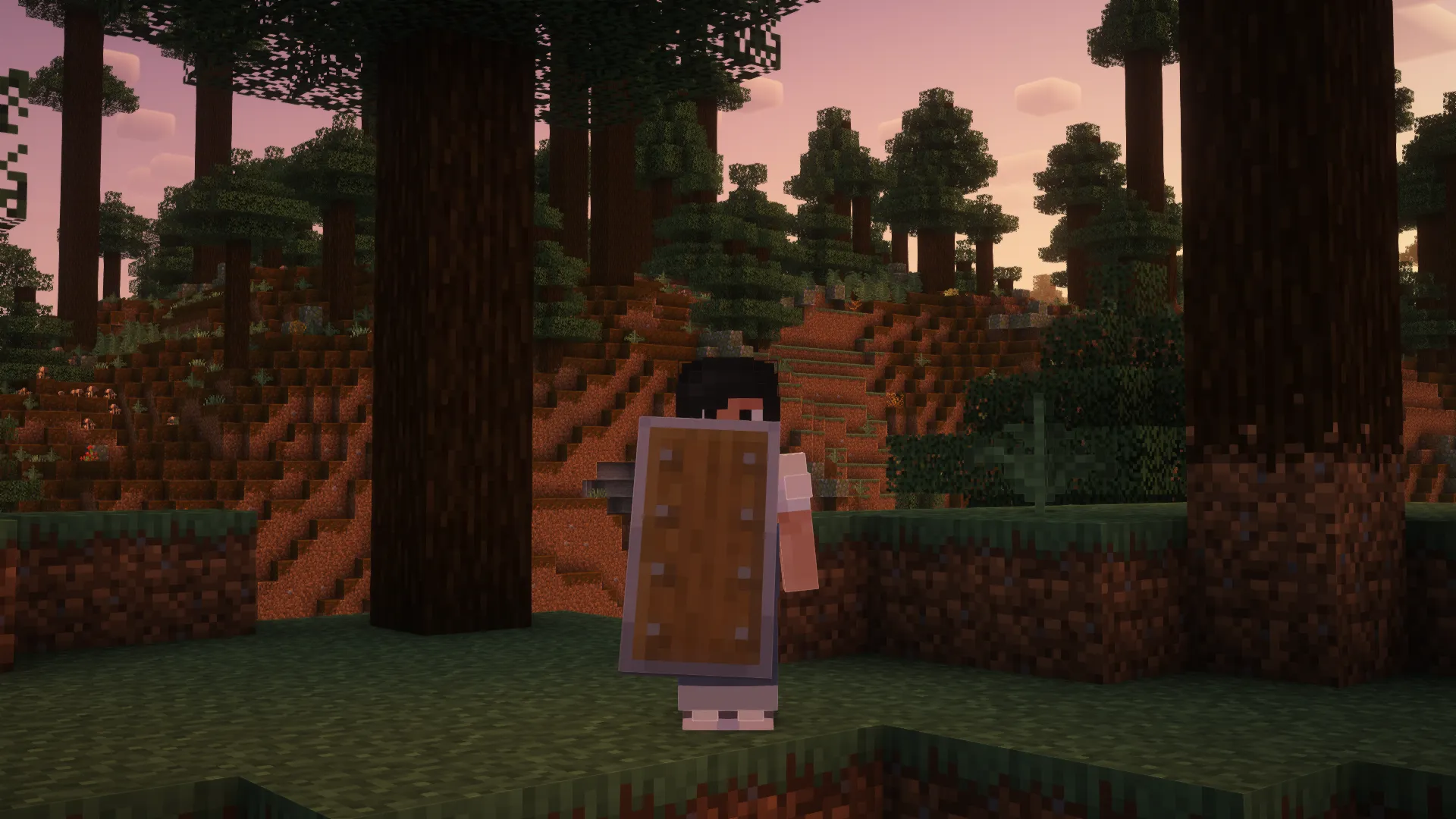 Woodtype Shields, Текстуры, Minecraft