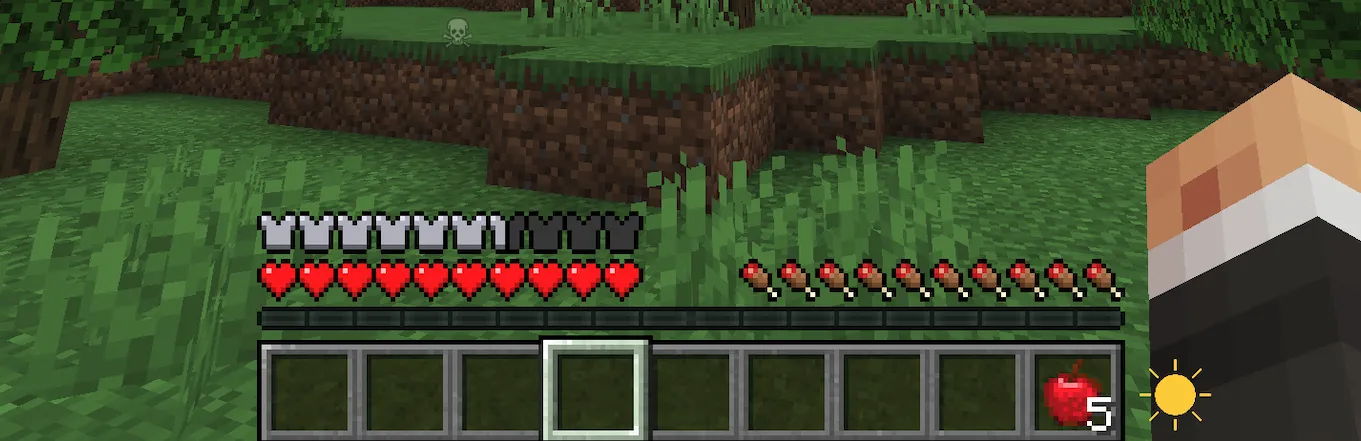 WeatherDisplay, Моды, Minecraft