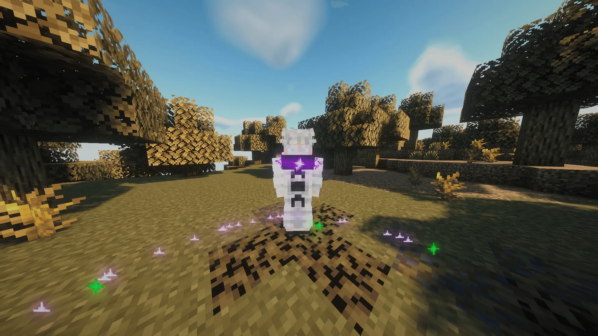 Cursed Fate: Wither Rose — скриншот 6 (Моды, Minecraft)