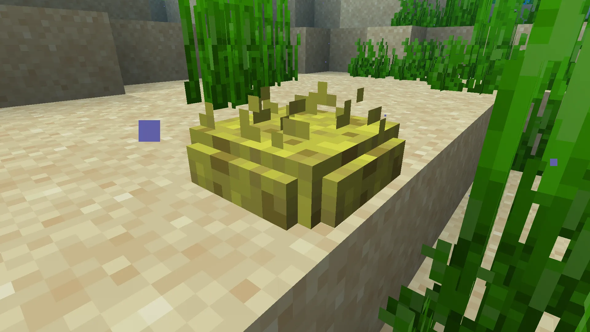 More Sponges, Моды, Minecraft