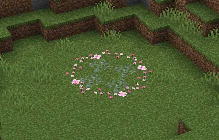 Fairy Rings, Моды, Minecraft