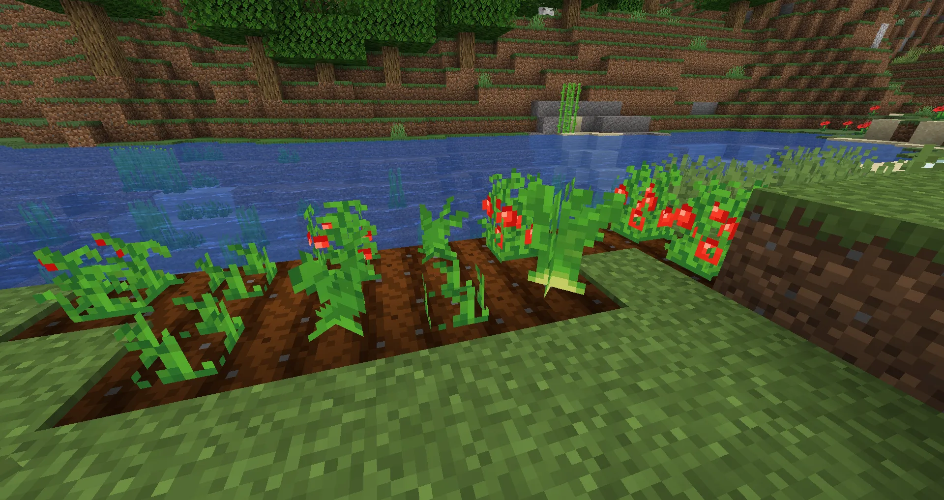 Pathom's FoodTweaks, Моды, Minecraft