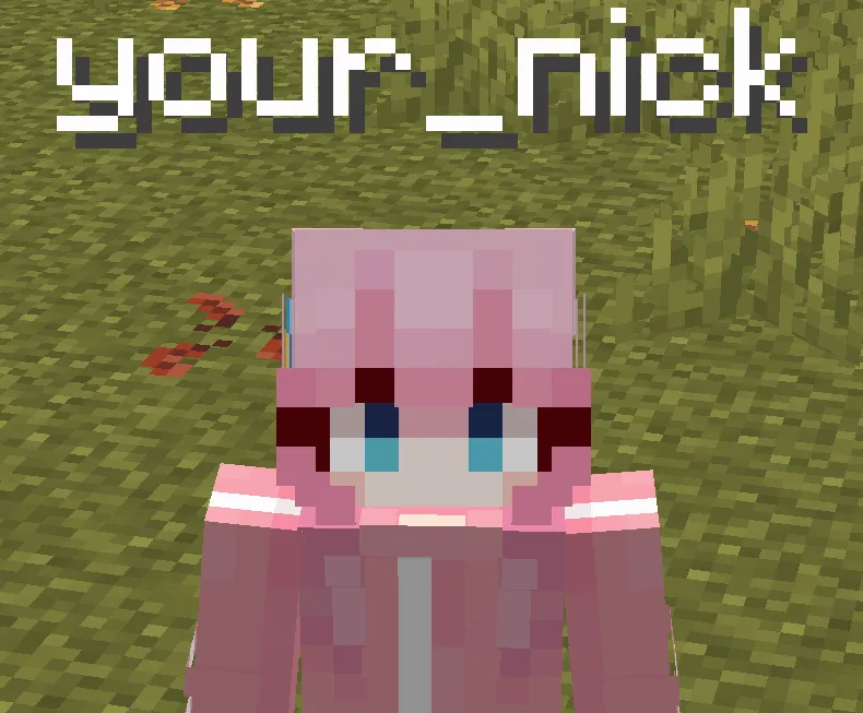 showmyname MOD | by aewfmm — скриншот 1 (Моды, Minecraft)