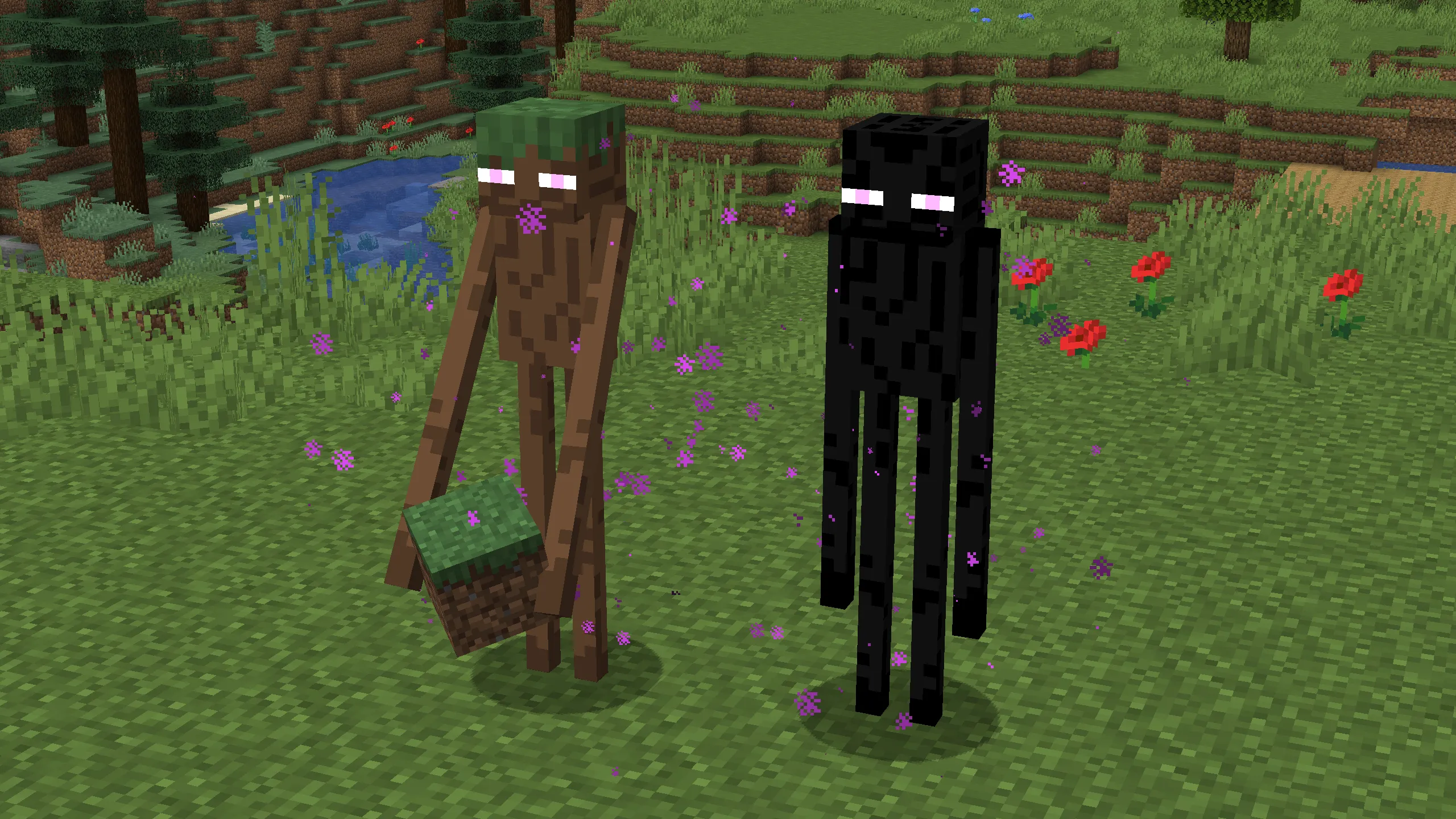 Example Random Entity Textures, Текстуры, Minecraft