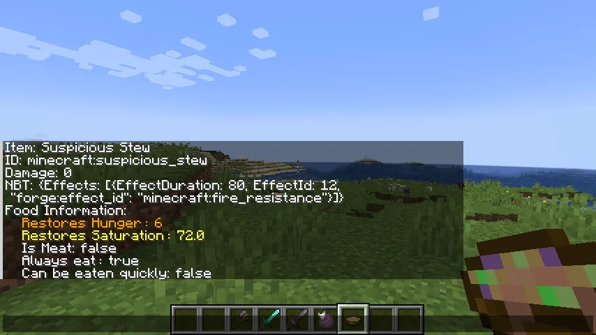 Item Informations, Моды, Minecraft