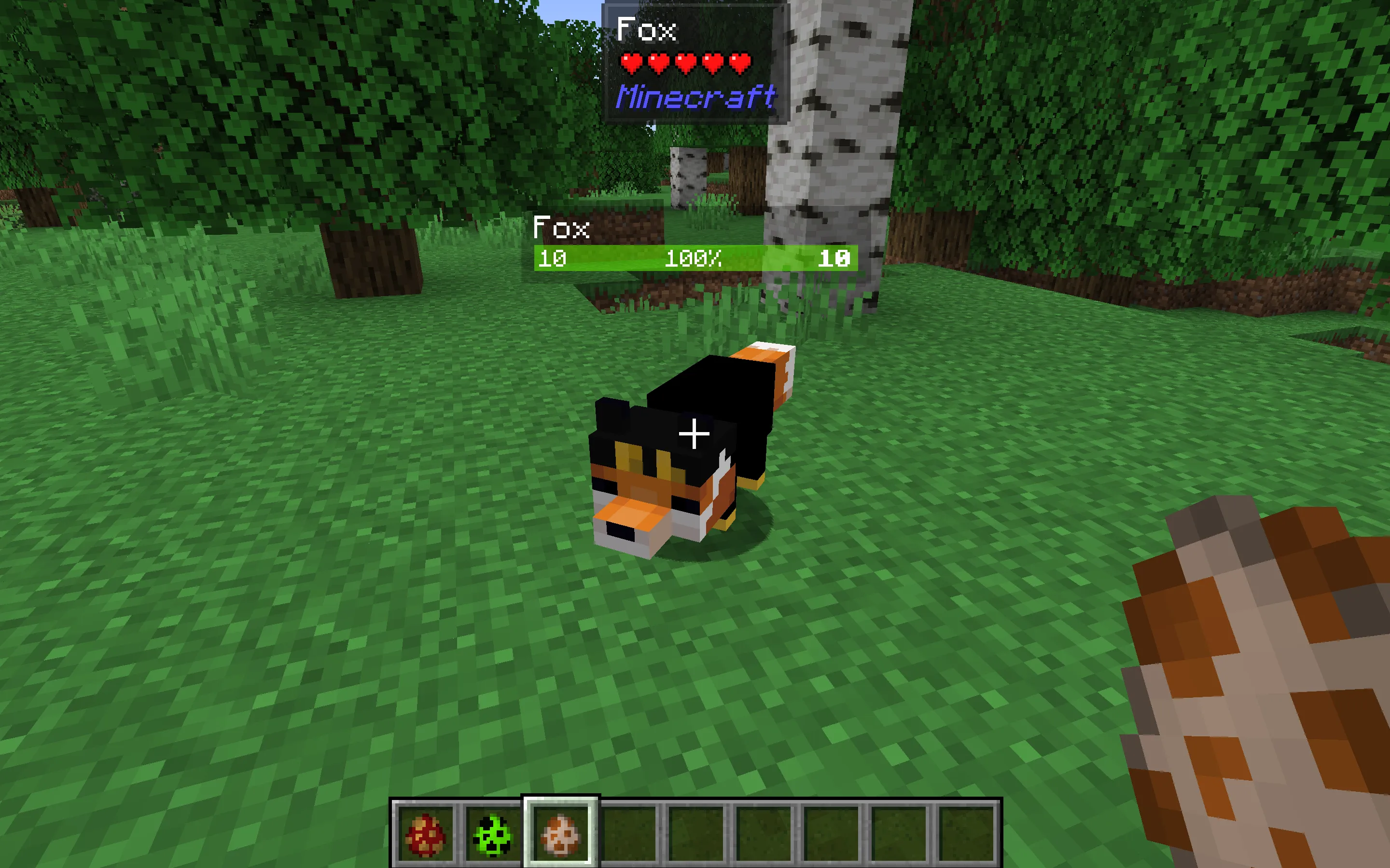 fundy Foxes, Текстуры, Minecraft