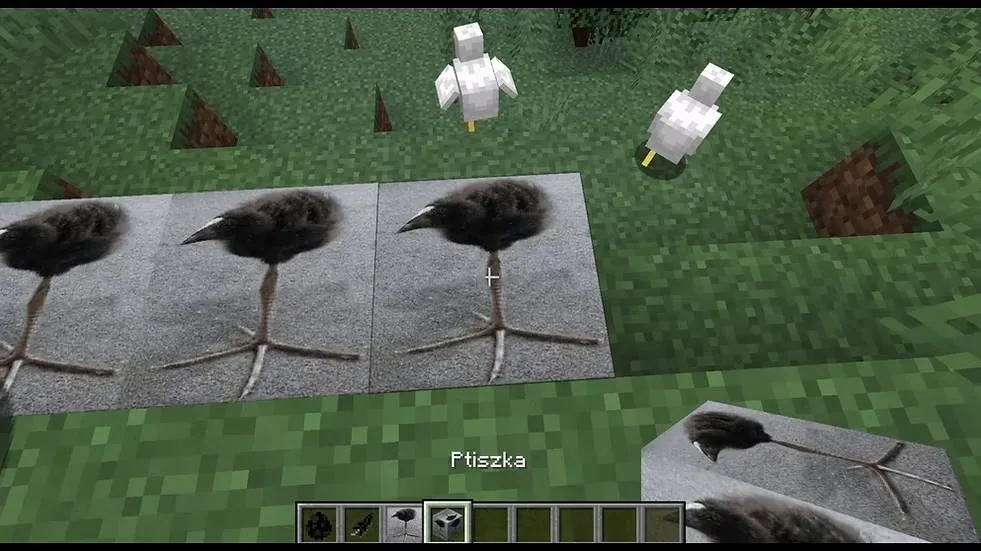 Ptiszka — скриншот 3 (Моды, Minecraft)