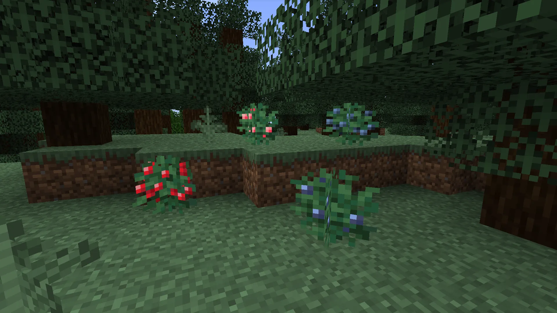 Very Sweet Berries — скриншот 1 (Текстуры, Minecraft)