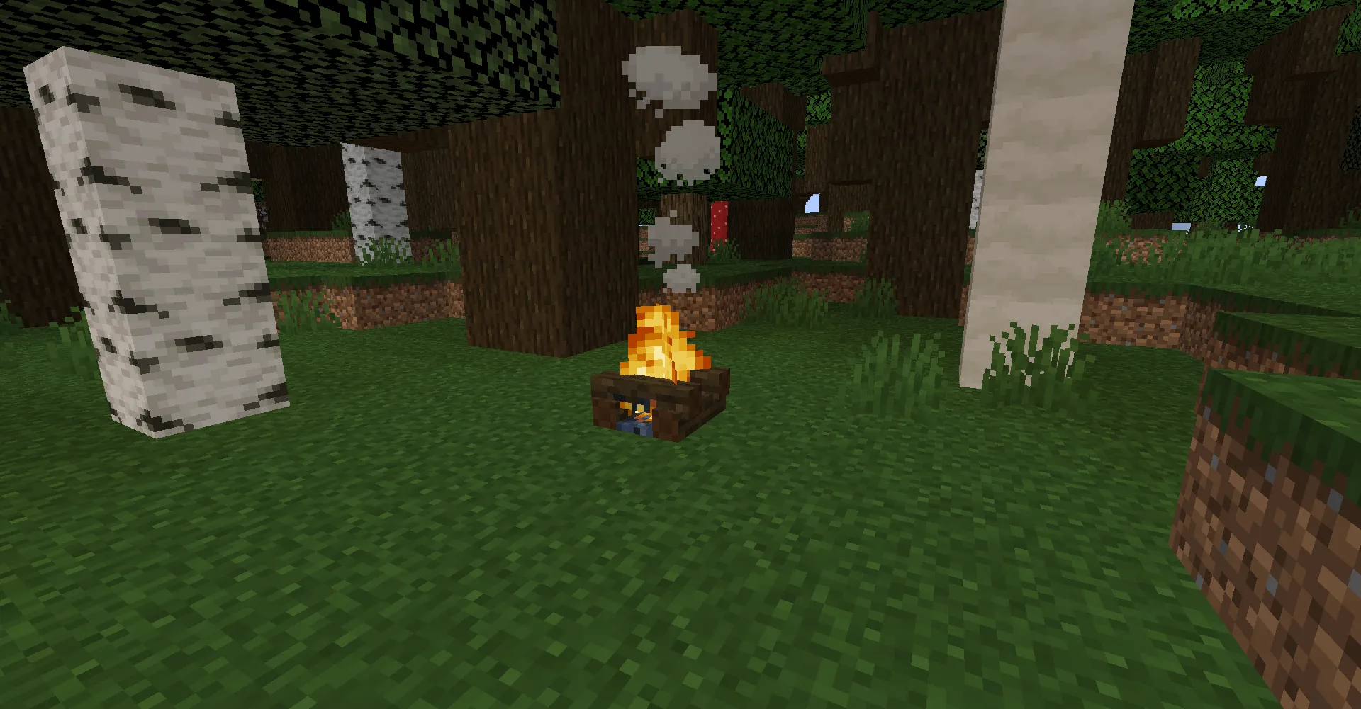Extra Campfires, Моды, Minecraft