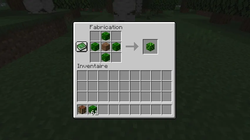 Steve's Blocks, Моды, Minecraft