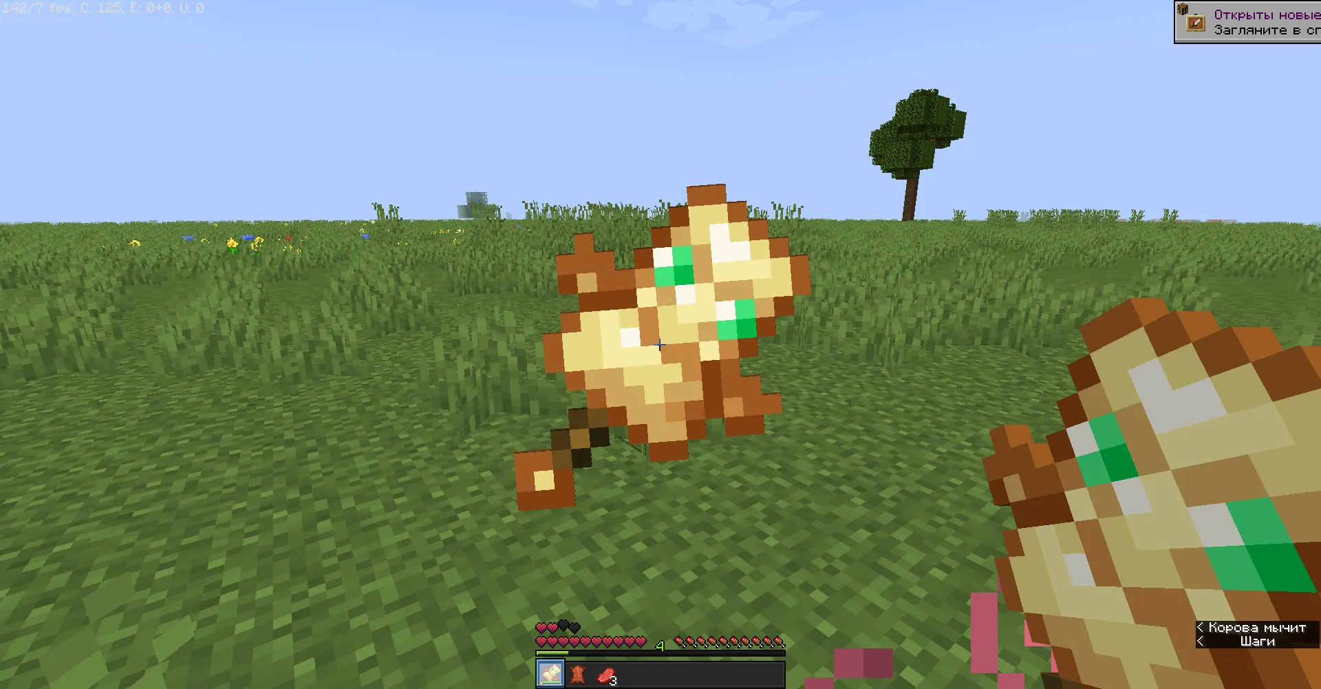 Crazy Swords, Моды, Minecraft