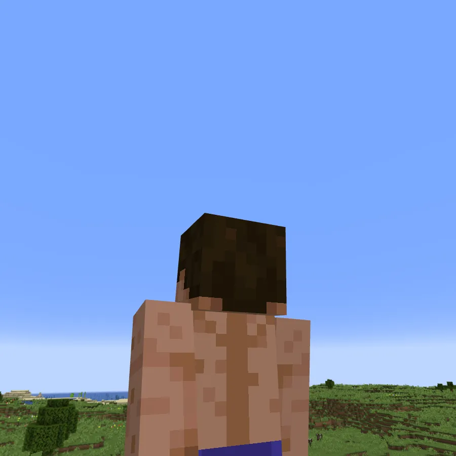 The Humanity Mod, Моды, Minecraft