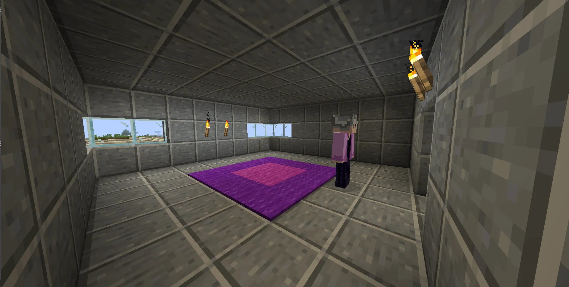Young Sheldon Shenanigans, Моды, Minecraft