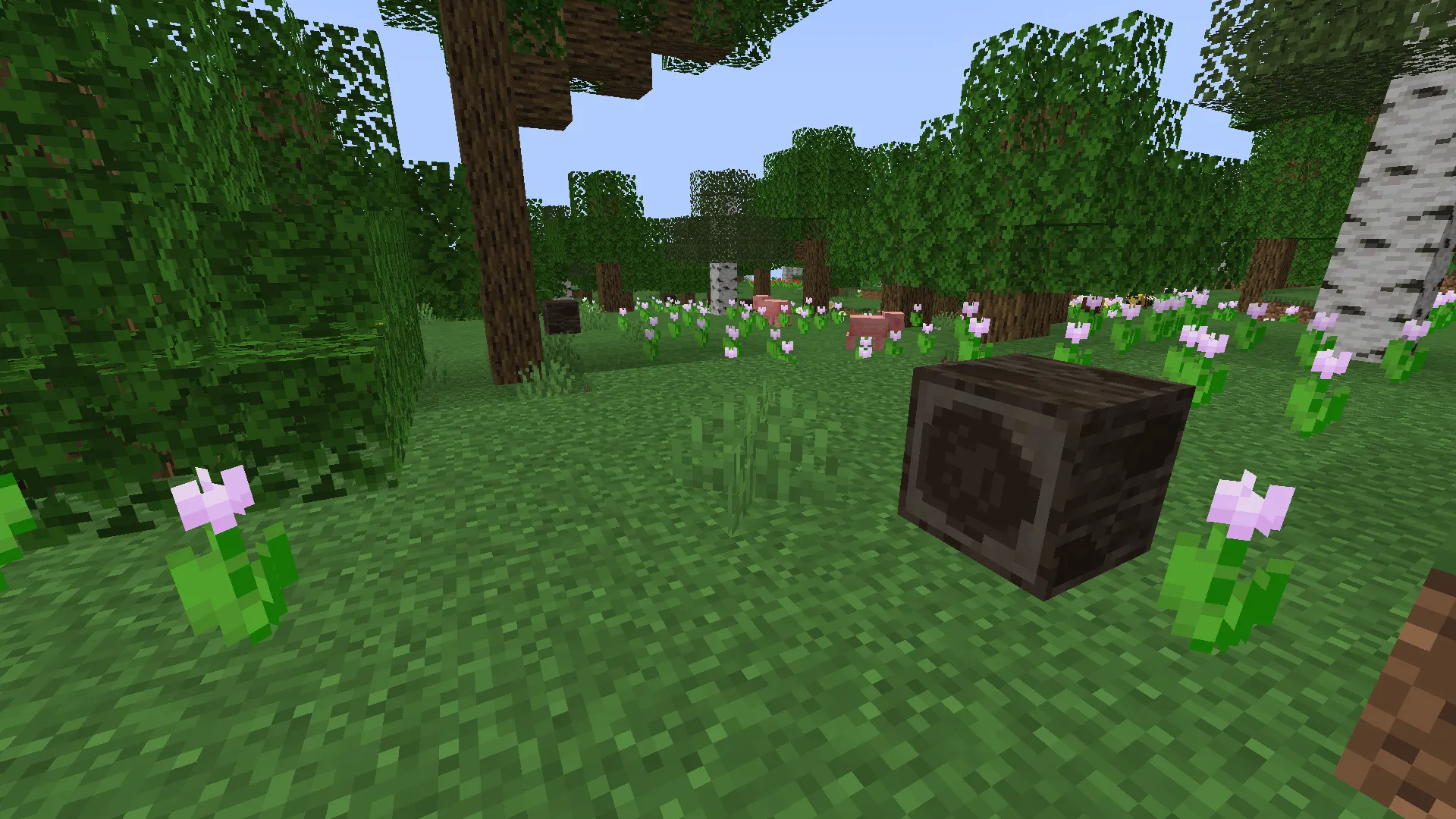 Licochpo's Isopods — скриншот 4 (Моды, Minecraft)