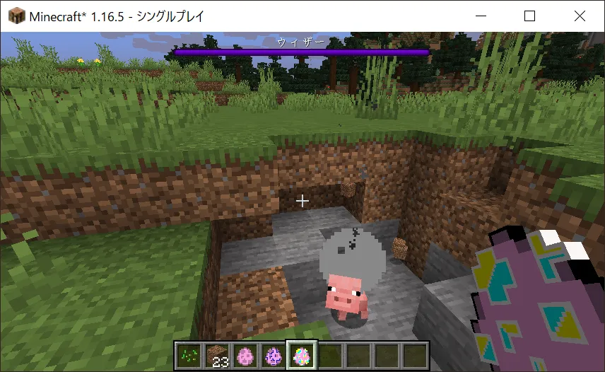 KakikuPig, Моды, Minecraft