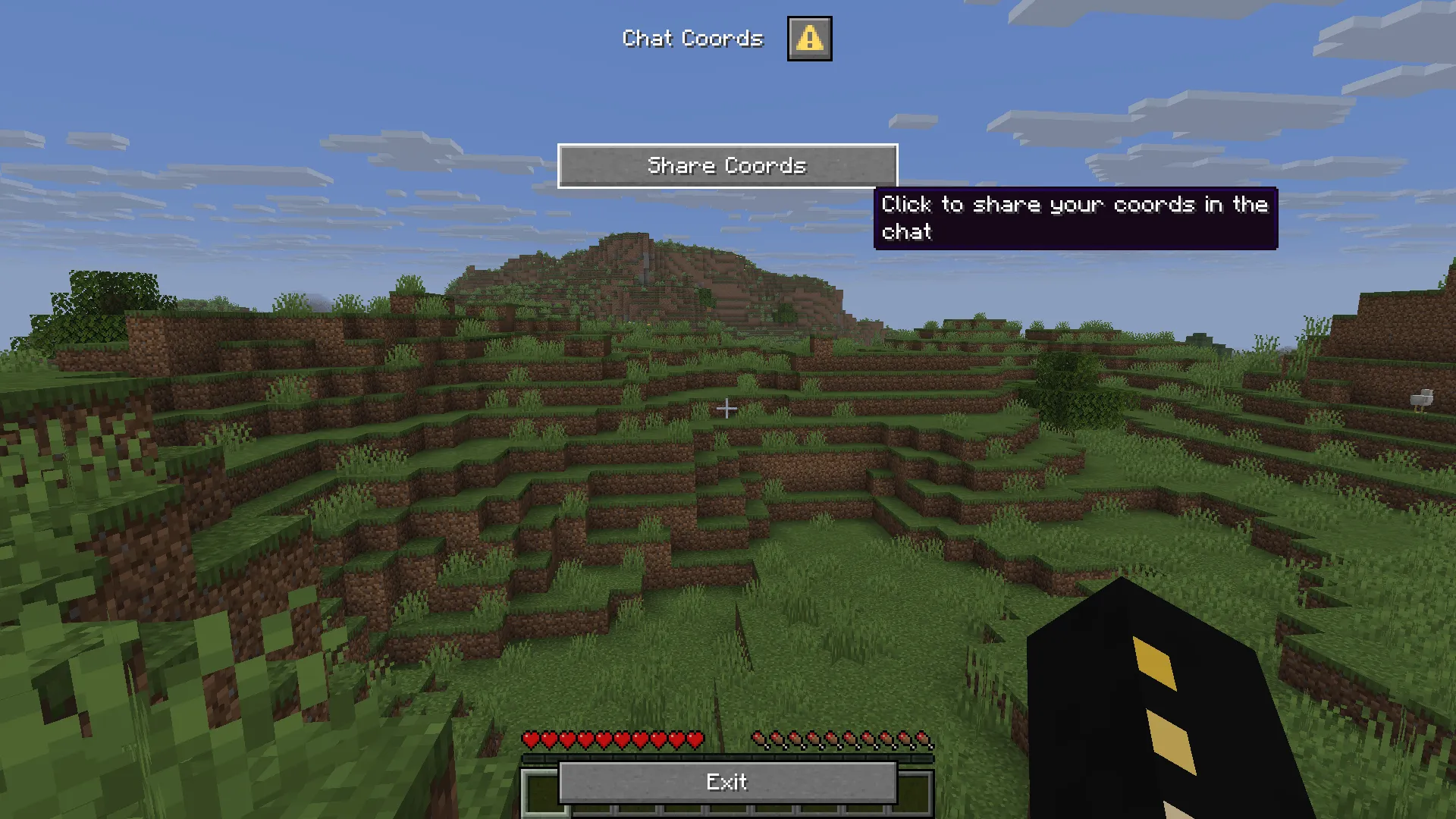 Chat Coords (Fabric/Forge/NeoForge/Quilt) — скриншот 1 (Моды, Minecraft)