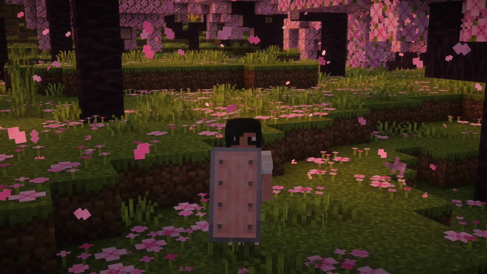 Woodtype Shields, Текстуры, Minecraft
