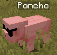 Cartel del Poncho — скриншот 10 (Моды, Minecraft)