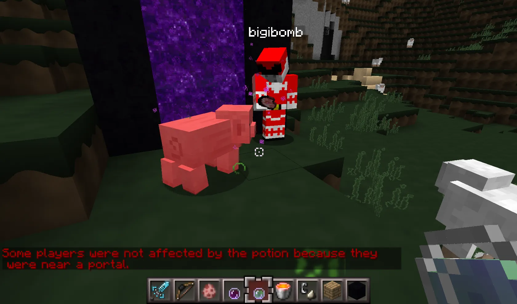 PortalProtector — скриншот 6 (Плагины, Minecraft)