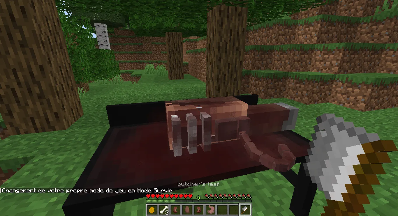 Echoes of death — скриншот 3 (Моды, Minecraft)
