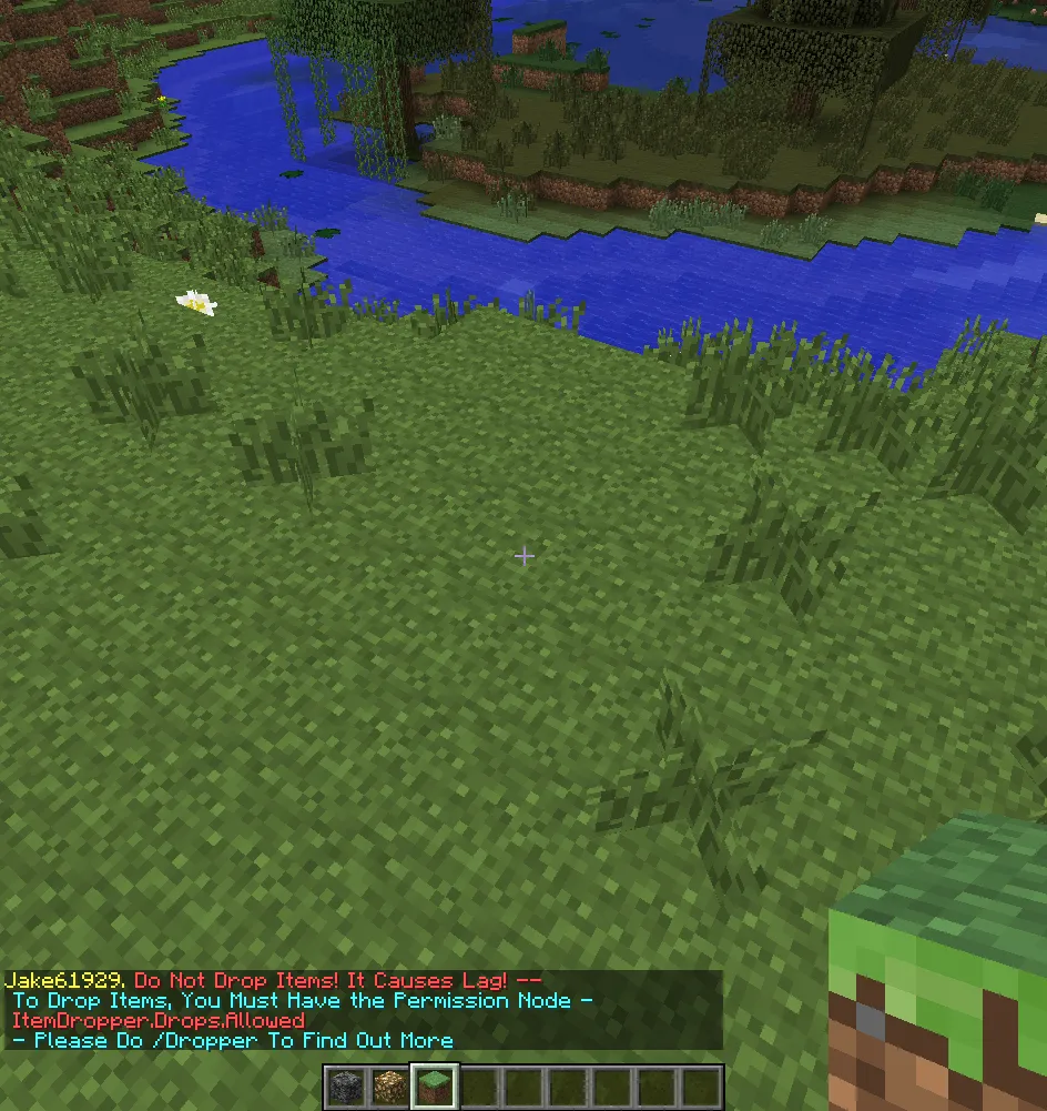 ItemDroppper — скриншот 4 (Плагины, Minecraft)