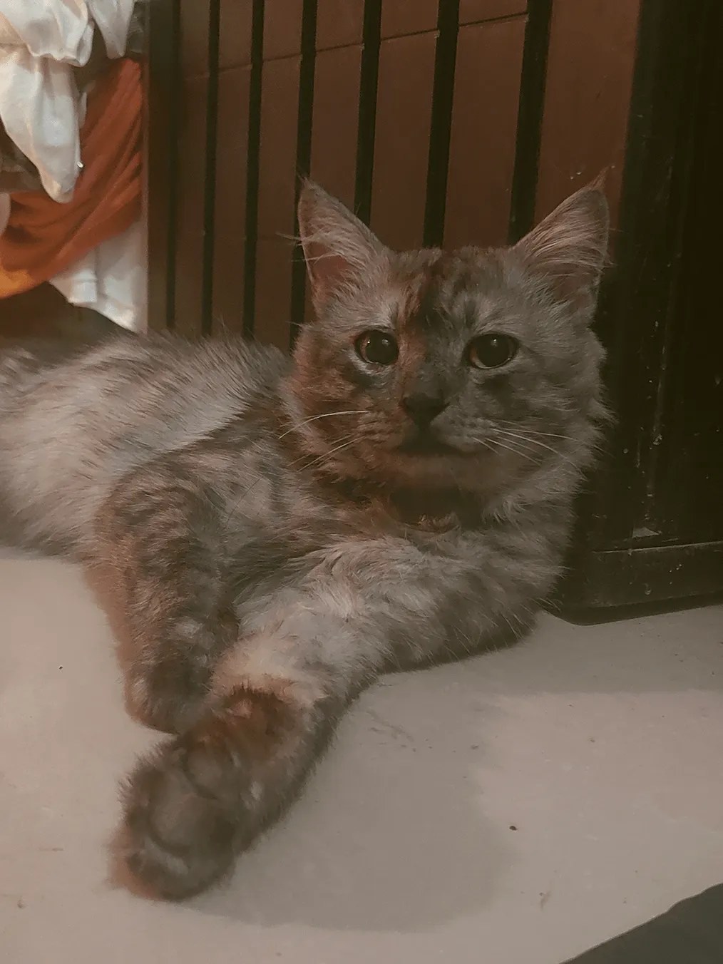 Alexs Caves Exemplified, Моды, Minecraft