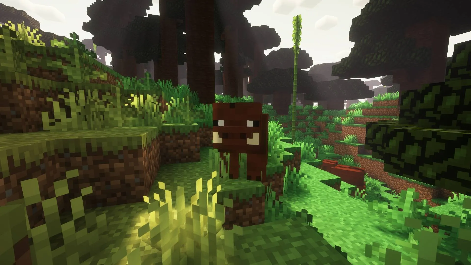 Evolutionary Path, Моды, Minecraft