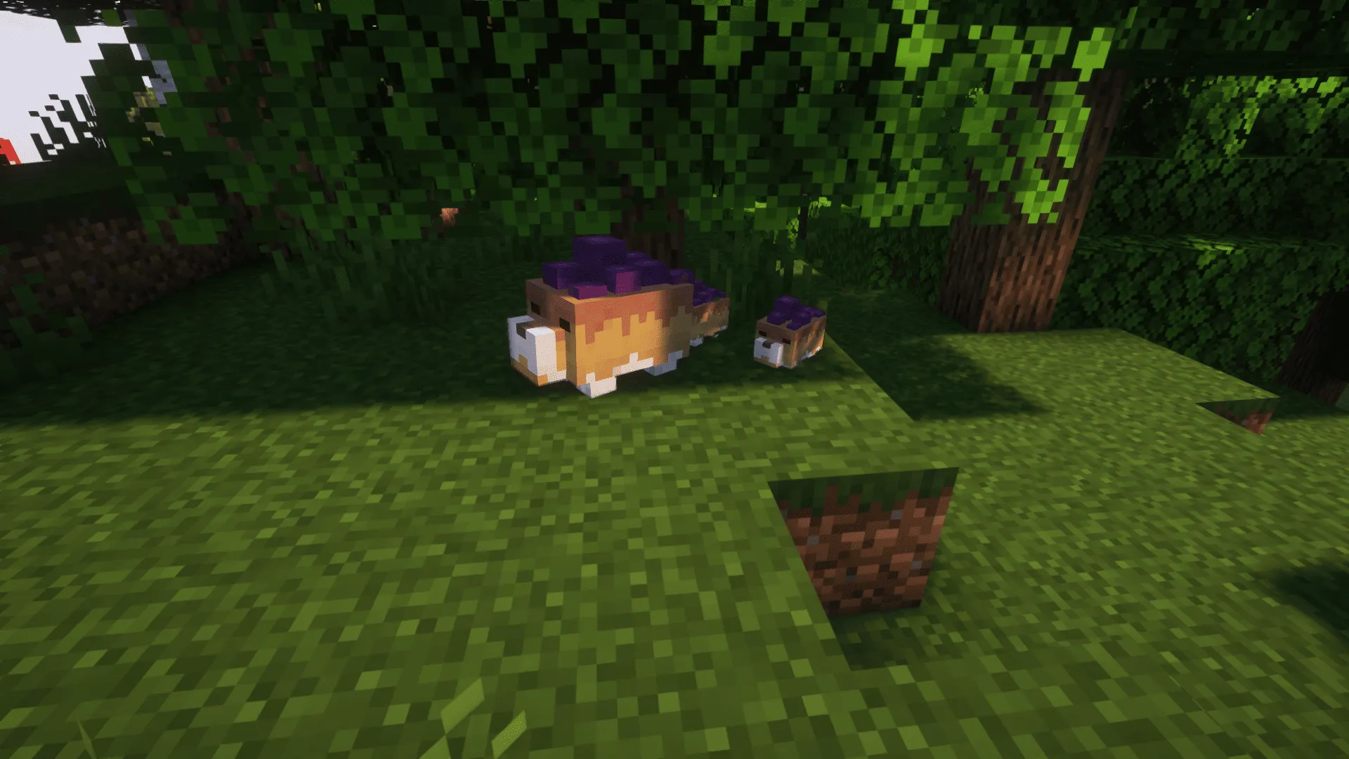 Made in Abyss: Shroombears, Моды, Minecraft