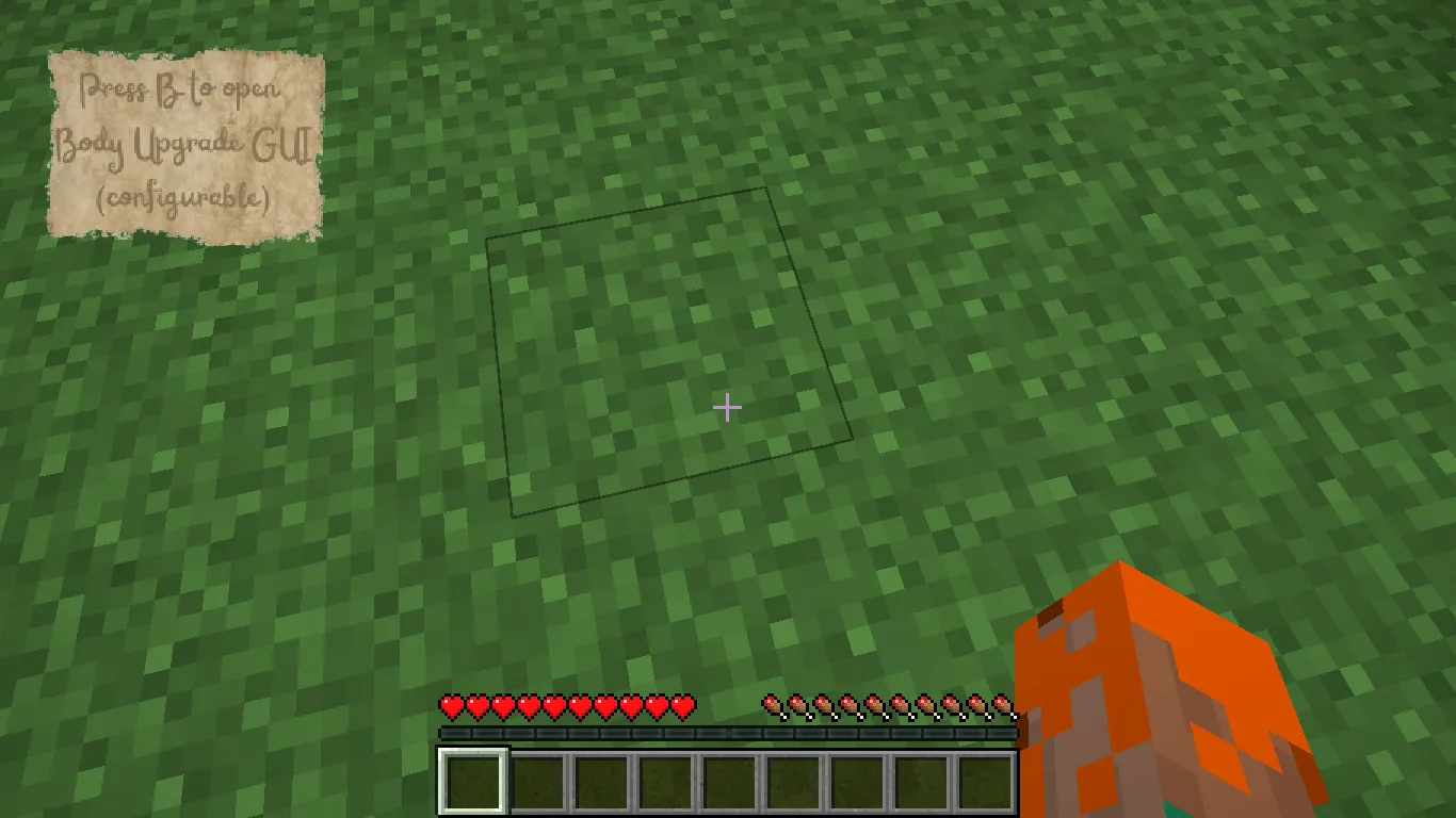 The Body Boosts, Моды, Minecraft