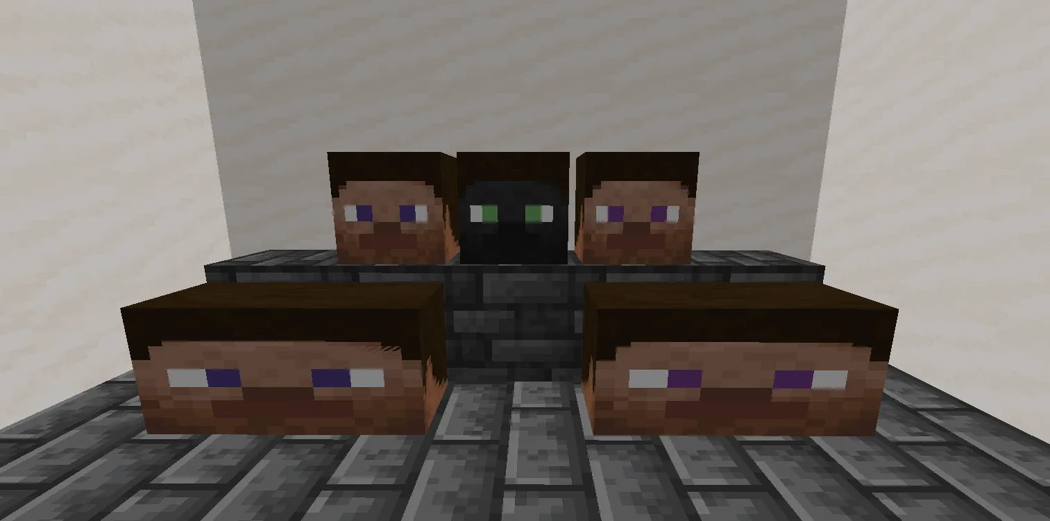 Everyone is Steve, Текстуры, Minecraft