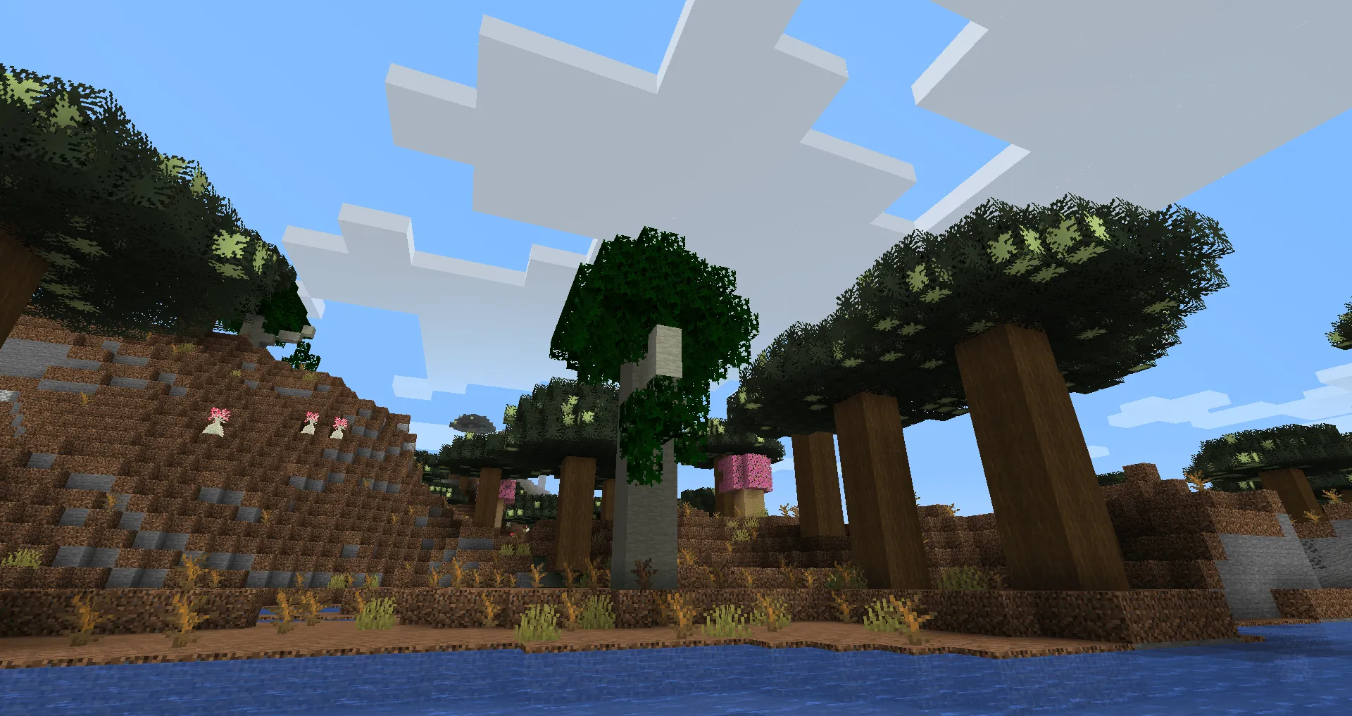 Caio Cesar's Biomes and Seasons, Моды, Minecraft