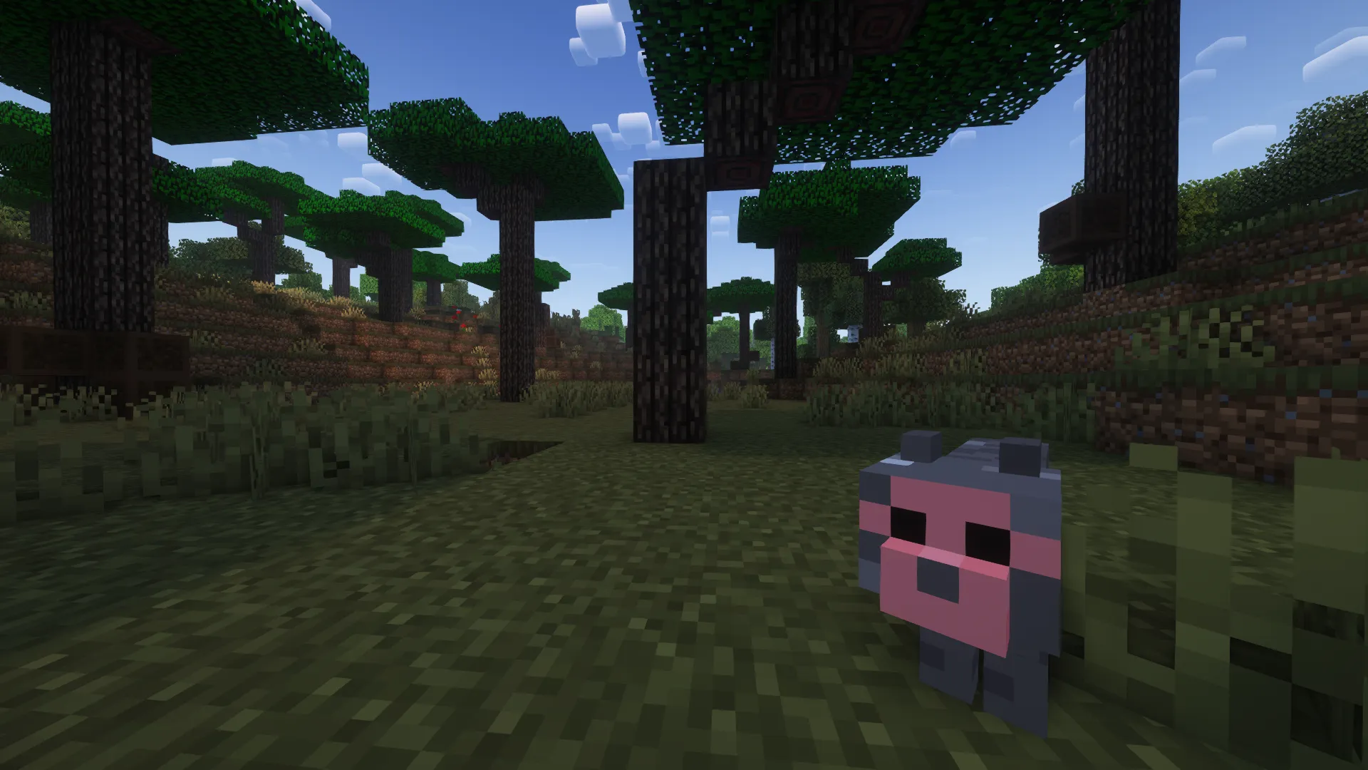 PalmWood (W.I.P) — скриншот 3 (Моды, Minecraft)