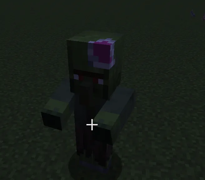 SirPigs Zombies, Текстуры, Minecraft