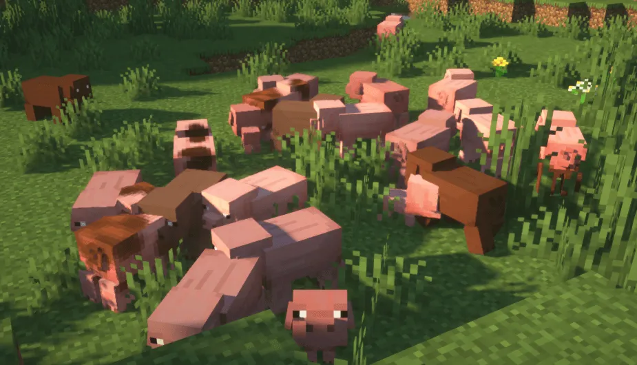 Better Pig — скриншот 6 (Текстуры, Minecraft)